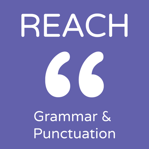 2025 Reach Assessments - Grammar and Punctuation AUS